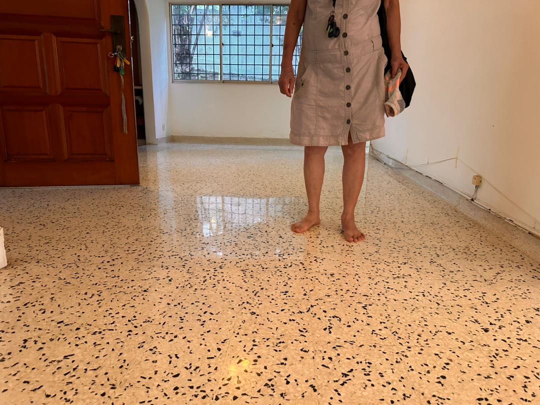 Terrazzo Polish (19)