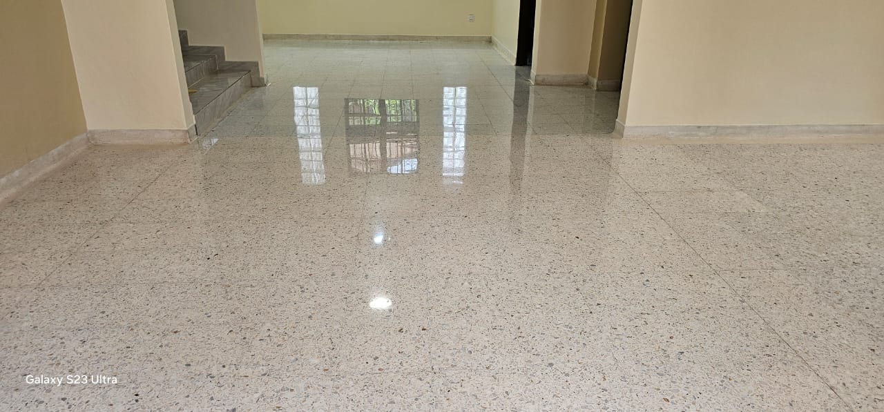 Terrazzo Polish (3)