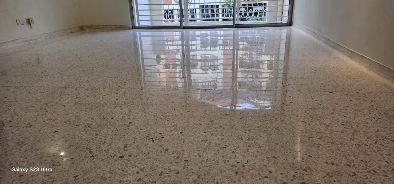 Terrazzo Polish (6)