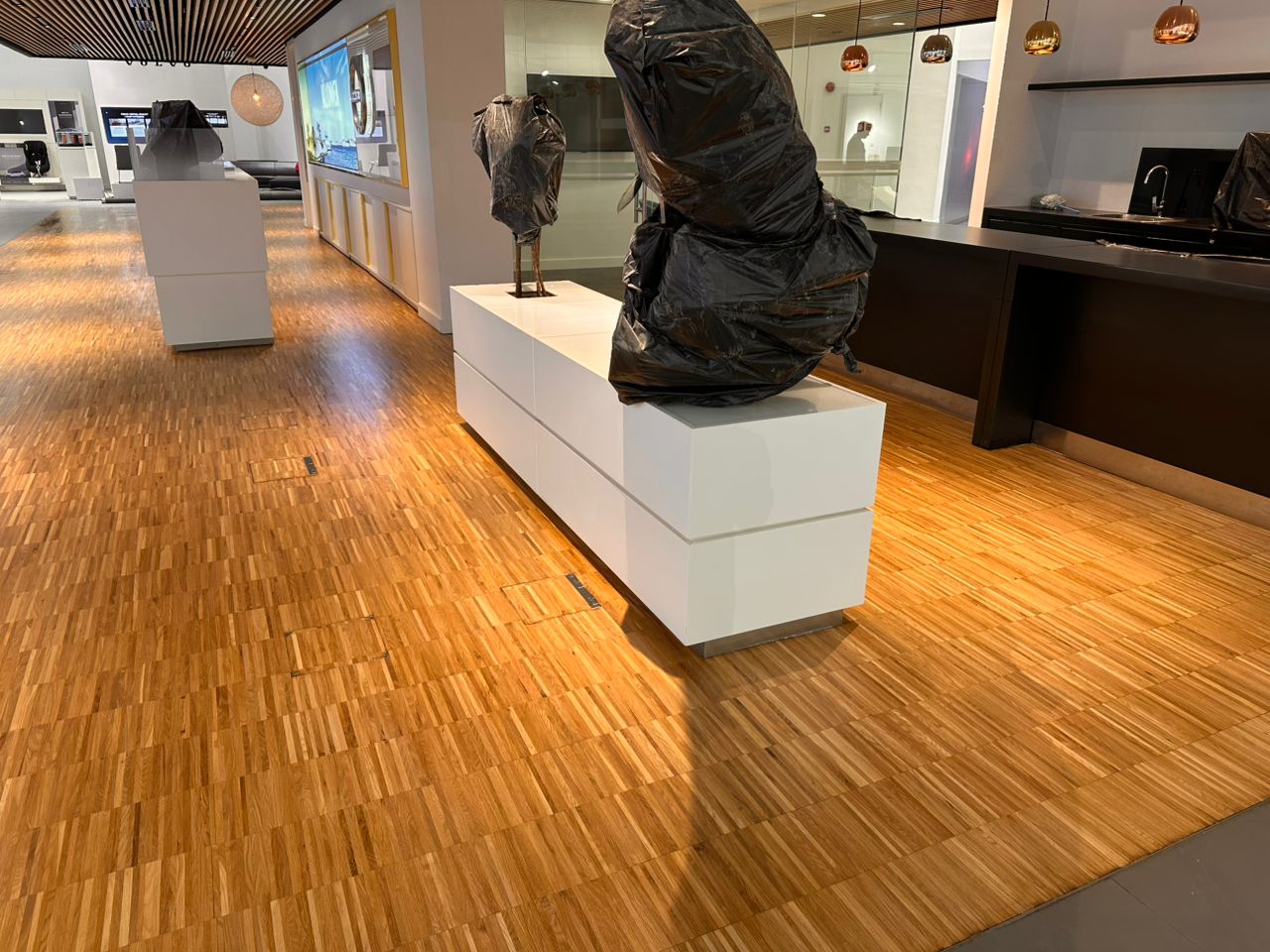 Timber and Wooden Floor Polish (13)
